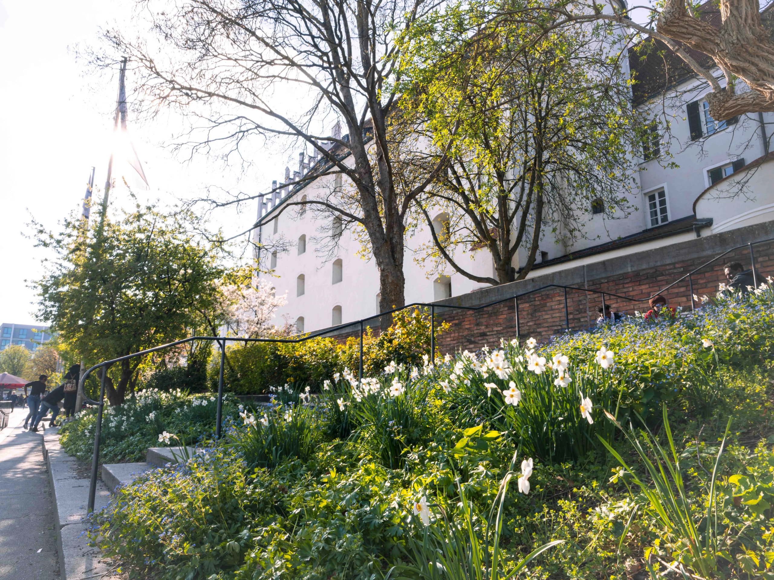 Image for Herzogskasten
