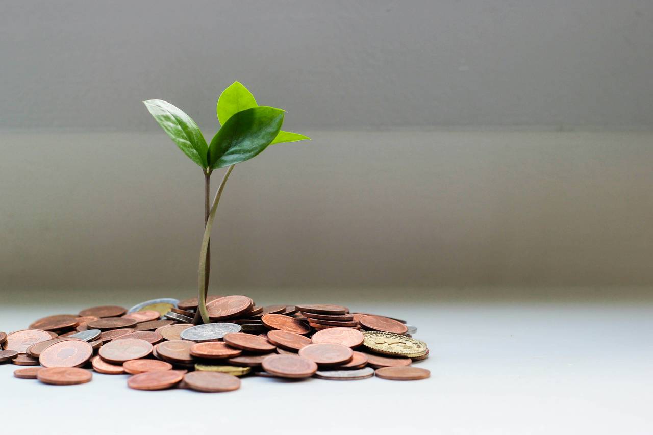 Webinar über nachhaltige Finanzierung